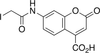 7-Iodoacetamidocoumarin-4-carboxylic Acid -- I675250 - Image