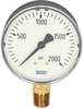 Pressure gauge WIKA 111.10 - 4253221