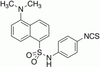 4-(N-1-Dimethylaminonaphthalene-5-sulfonylamino)phenyl Iso.. - D461000 - Toronto Research Chemicals, Inc.