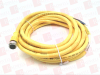 QD Cable/Cord Set - 15718266 - Radwell International