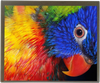 All Shore Industries, Inc. > Liquid Crystal Displays | - ASI-T-570GA4NT/D - All Shore Industries