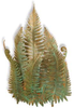 71281 Sconces-Pocket - 407549 - Capital Lighting, Inc.