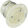 Plug/Receptacle - Radwell International