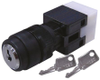 Key Switches -- 8200485 - Image