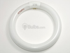 30 Watt, 9" Diameter Warm White T9 Circline Bulb -- TEC32030 - Image