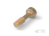 Connector Hardware, Mounts, Locks & Retainers - 5747971-2 - TE Connectivity