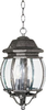 1036RP Exterior -Hanging - 484972 - Capital Lighting, Inc.