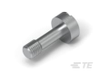 Connector Hardware, Mounts, Locks & Retainers - 5746879-1 - TE Connectivity