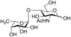 2-Acetamido-2-deoxy-4-O-(α-L-fucopyranosyl)-D-glucopy.. - A151550 - Toronto Research Chemicals, Inc.