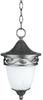 Exterior -Hanging - 319473 - Light Center (The)