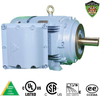Explosion Proof Motors-C-Face, C-Face -- XHHI100-18-405TC - Image