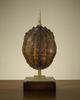 JRL-8219 Lamps-Accent Lamps - 482230 - Capital Lighting, Inc.
