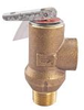 Lead Free* Poppet Type Pressure Relief Valve for Protection Against Excessive Pressure -- LF53L - Image