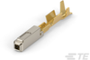 Automotive Terminals - 5-1241918-1 - TE Connectivity
