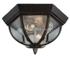 Two-Light Outdoor Ceiling Light Fixture - 78136-08 - bulbs.com