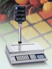 Price Computing Scale - CAS-AP1 - Meridian Scale