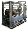 Livestock Scale -- RIC-SLV - Image