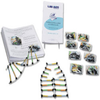 The Molecular Model of DNA and its Replication Kit - LA71 - Parco Scientific Company