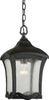 1816-01-04 Exterior -Hanging - 403040 - Capital Lighting, Inc.