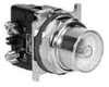 Illuminated Pushbutton -- 10250T411C21-1 - Image