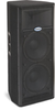 Active PA Cabinet with 2 x 12