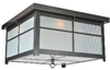 99594 Flush Mounts-Other - 601275 - Capital Lighting, Inc.