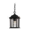 Exterior -Hanging - 224518 - Light Center (The)