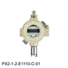 Carbon Monoxide Combustible Fixed Gas Detector (0-150ppm) -- PX2-1-2-E1110-C-01