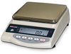 1200g x 0.1g Balance - 107233 - Transcat, Inc.