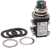 30mm Pilot Light 800T PB -- 800TC-PCL316
