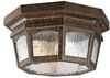 Exterior -Ceiling Mount - 634289 - Light Center (The)