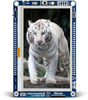 Graphics Display Development Kits -- 1360793