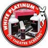 White Platinum - No Contrast Front Projection Screen - White Platinum- No Contrast - Visual Sound, Inc.