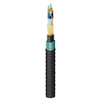 Indoor/Outdoor Riser Heavy Duty Loose Tube OM2 24 Fibers - FD2H0245F - Belden Inc.