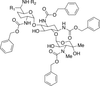 tetra-N-Carboxybenzyl Gentamicin (C Complex) - C177790 - Toronto Research Chemicals, Inc.