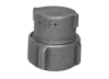 Fittings - Caps-end-Caps -- 775451055