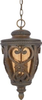 FQ1910AW01 Exterior -Hanging - 456398 - Capital Lighting, Inc.