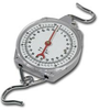 HS SERIES ECONOMY HANGING SCALE -- HHS110 - Image