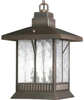 Exterior -Hanging - 285411 - Light Center (The)
