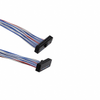 Cable Assemblies - Rectangular Cable Assemblies - FFTP-10-D-08.77-01-N - Acme Chip Technology Co., Limited
