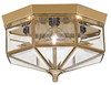 7662-02 Flush Mounts-Cage Style - 713696 - Capital Lighting, Inc.