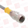 QD Cable/Cord Set - 3568309 - Radwell International