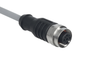 Pre-wired cable - M12 - 3-pole - Other - A-K3P-M12-S-G-2M-GY-1-X-A-4 -  - Schmersal Inc.