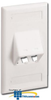 Panduit® Mini-Com Classic Series Sloped Faceplates.. - CFPSL2 - TelephoneStuff.com
