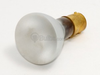 Reflector Safety Coated Elevator Ceiling/Auto Reading Bulb - B752531 - bulbs.com