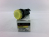 Pilot Light - Radwell International