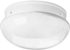 P3412-30 Flush Mounts-Bowl Style - 768426 - Capital Lighting, Inc.