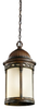 11058BST Exterior -Hanging - 429457 - Capital Lighting, Inc.