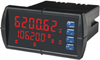 Dual-line Flow Rate/Totalizers -- Model PD6200 - Image