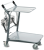 EZtote®580-55 - VersaCart Systems, Inc.